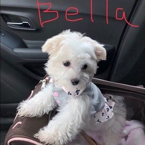 Meet your Posher, Patti